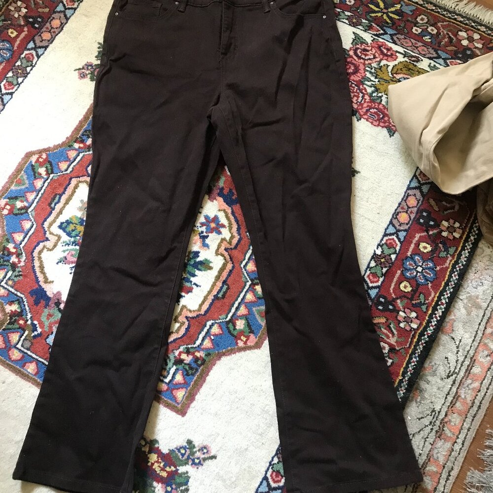 ladies pant